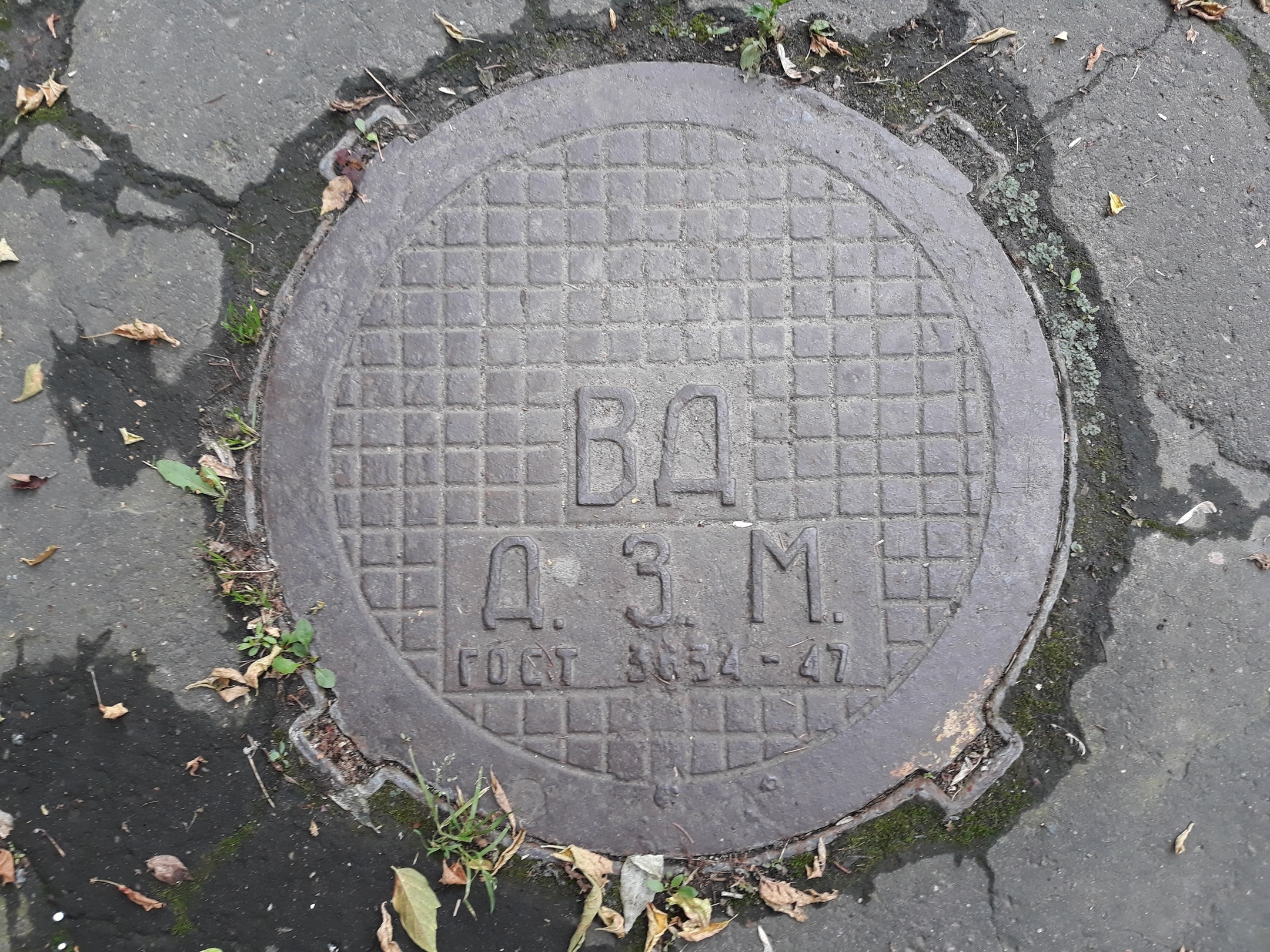 Фото люка Канализационный люк «ВД Д.З.М.» — №4, завод ВД Д.З.М.