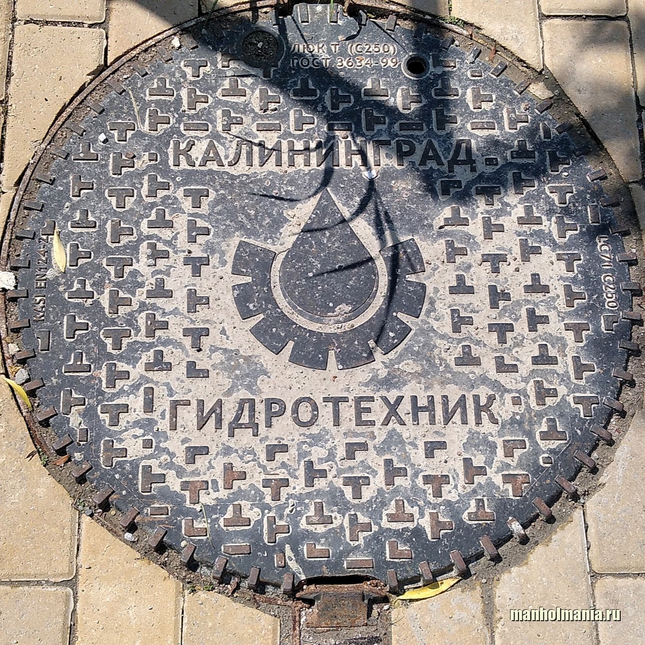 Фото люка Декоративный люк, завод Декоративный люк
